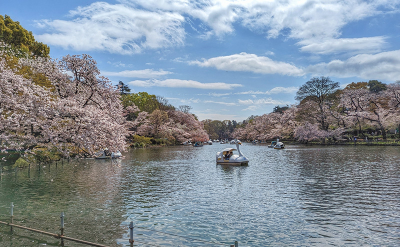 関東で老後に住みやすい街はどこ？ おすすめの街5選